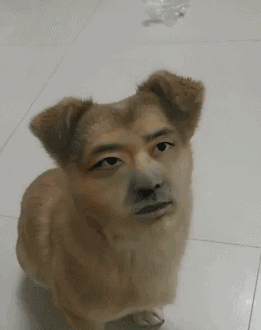 惹女朋友生气的后果,脸被ps到狗狗的身体上