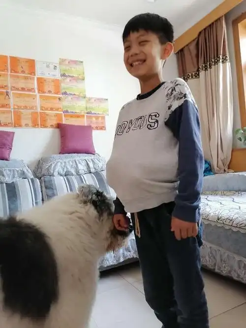 做任何事情前,都要注意自己的"大肚子","新手妈妈们"真是不容易啊!