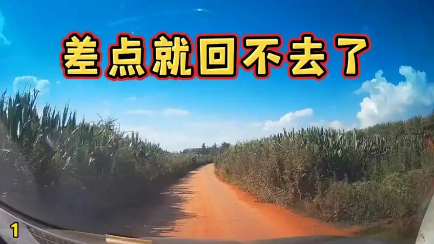 来时好好的差点就回不去了