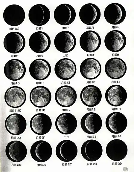月亮初一初二初十,十五,二十五,三十,有啥变化
