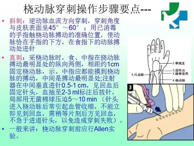 护理课件采集动脉血气分析标本与血气分析前影响因素的控制