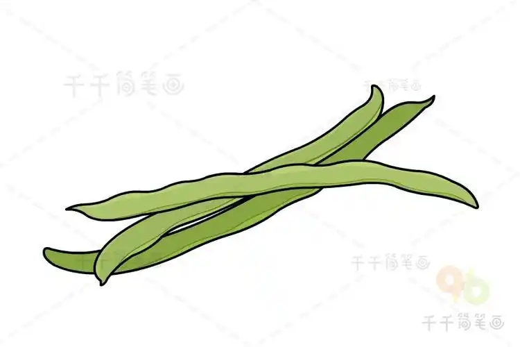 各种豆角简笔画豌豆简笔画教程眉豆简笔画如何画刀豆简笔画豇豆简笔画