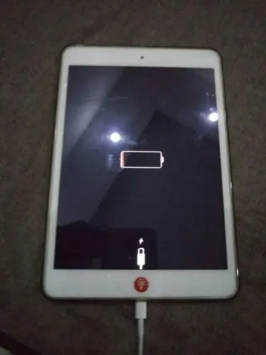 ipadmini2电用完了自动关机 连接充电 充了几个小时后 居然开不了机