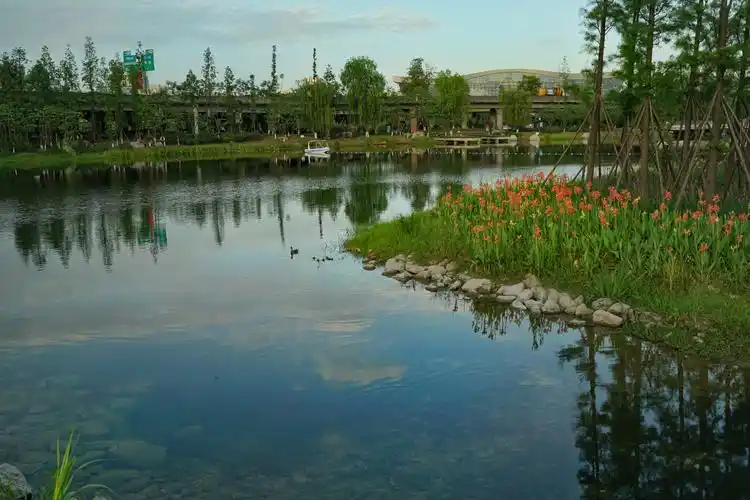 锦城园湖美景图(四)——美丽的公园城市