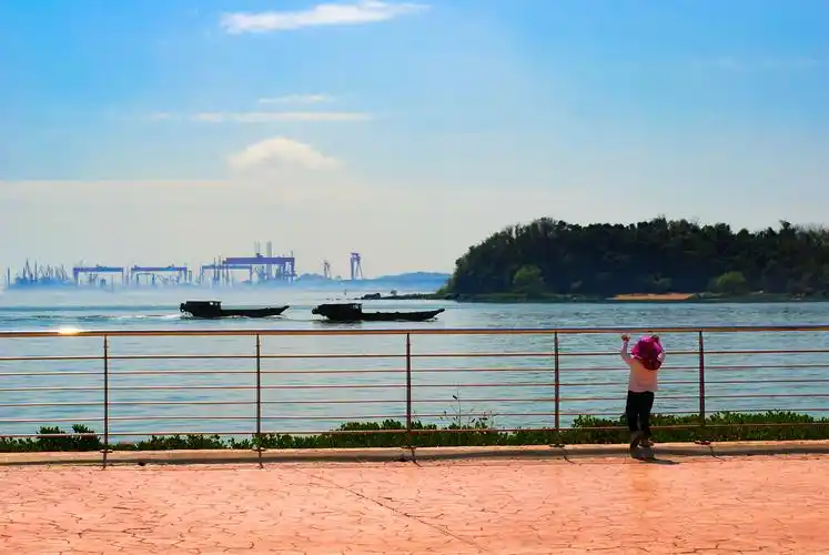 广州南沙海滨公园观海赏花