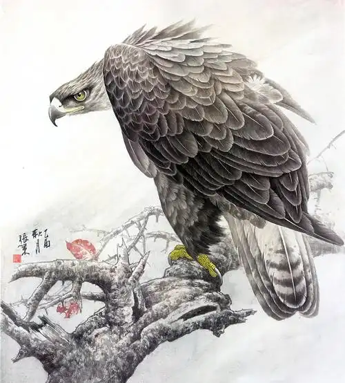 【国画】名家笔下的工笔《鹰姿飒爽》