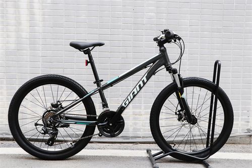 捷安特xtc 24-d 2铝合金24寸机械碟刹青少年男女孩变速山地自行车