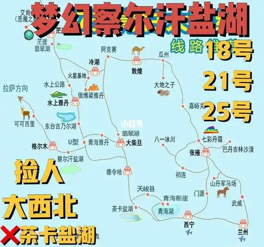 冬游大西北环线-察尔汗盐湖六日游捡人