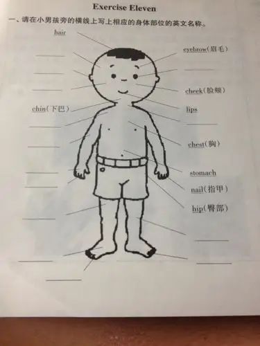 写出身体部分的英文