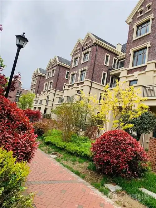 日照探房!藏在北京路上的现房别墅…均价竟只有10000元/㎡!