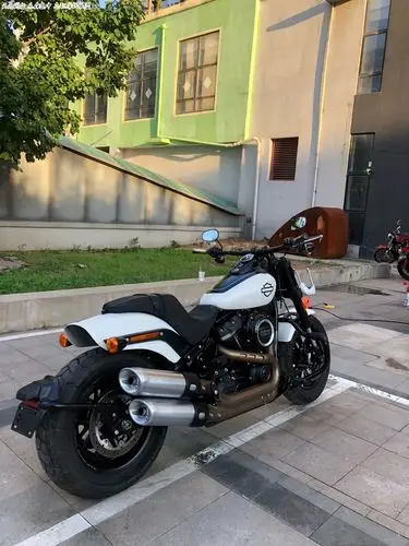 oiltiger大贸18年哈雷肥霸107准新车