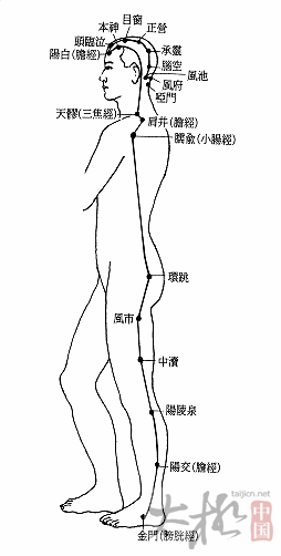 经络图汇集/编辑·乔元