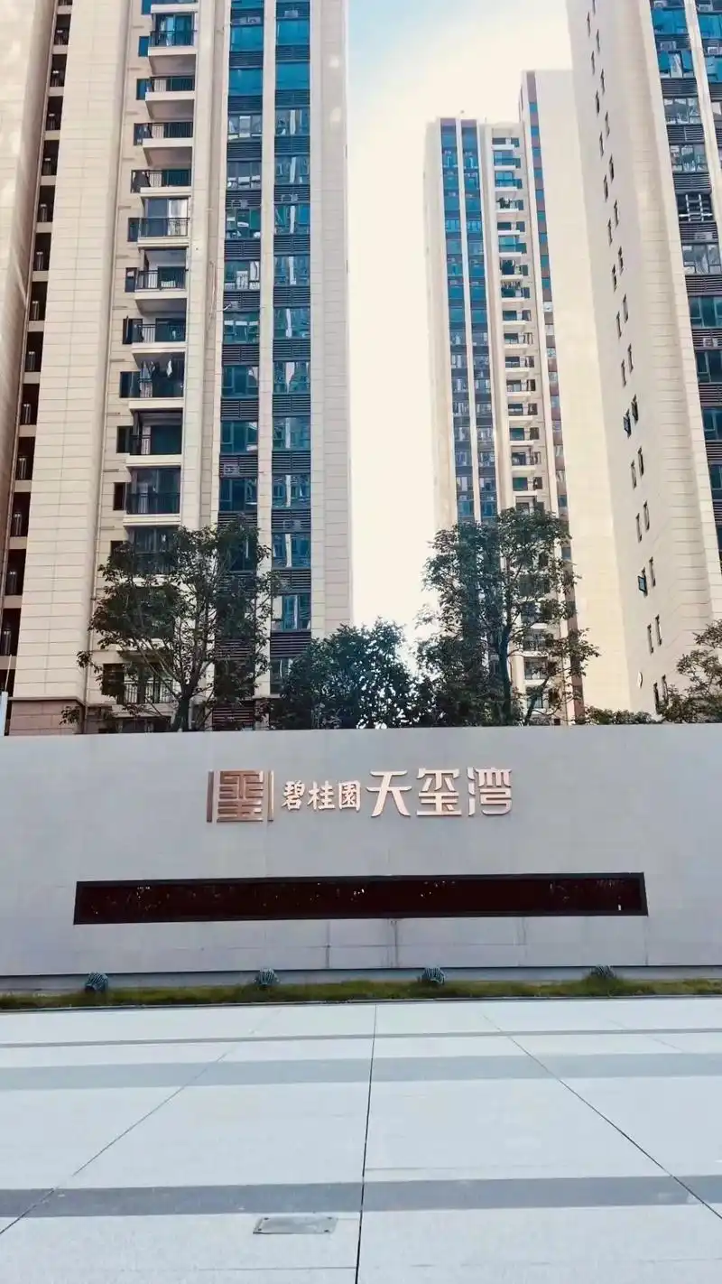 碧桂园天玺湾专场97238平方(3套)天玺湾238平方(3套 - 抖音