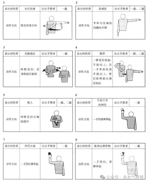 今天我们要一起揭开气排球比赛中的神秘面纱——裁判员的鸣哨,手势与