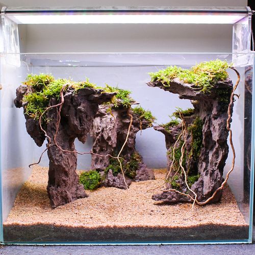 鱼缸仿真松皮石假山造景骨架枯山孤岛崖窟石头成品套餐水草缸峡谷