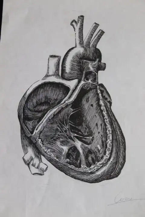 医学与生命科学学院-第三届"人体解剖素描作品比赛"又开始了!