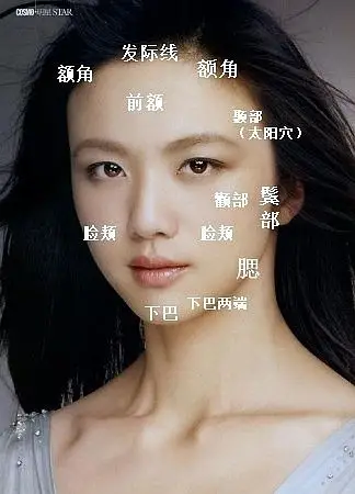 好吧  跟着卤煮一起把这些知识给撸起来~~~ 一,脸部各部位的名称 卤煮
