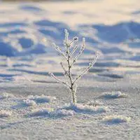 冬天有雪有阳光灿烂的头像_微信头像图片大全