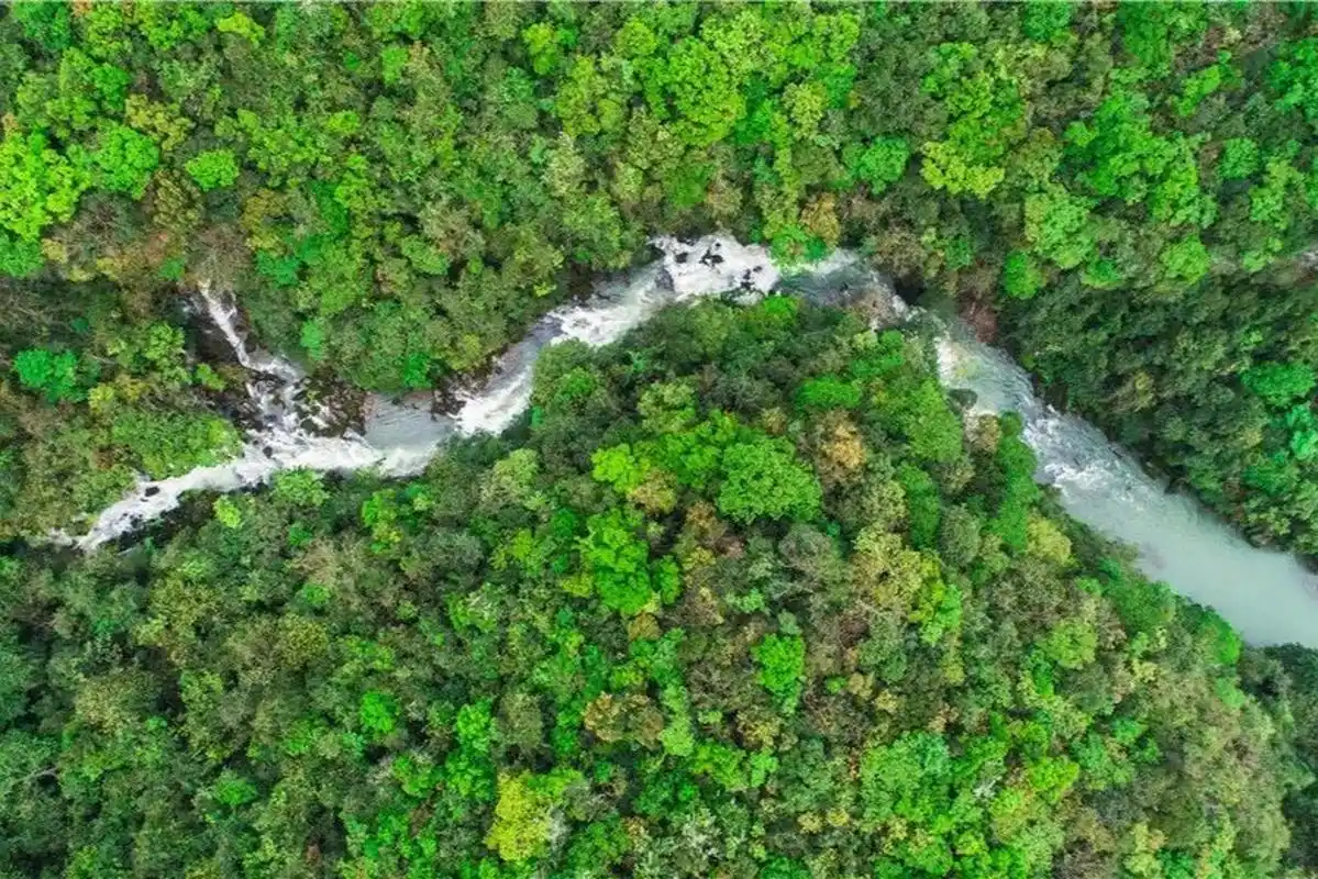 茂兰自然保护区位于贵州省黔南布依族苗族自治州荔波县,这里山峰叠嶂