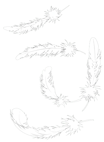 羽毛图案免抠元素图片_元素素材5720484_万素网