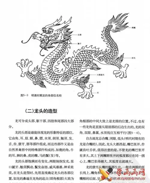 中国龙的画法中国龙的造型pdf电子书在线观看下载
