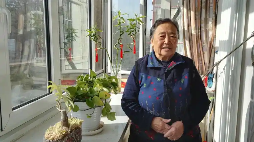 母亲的缕缕白发,在阳光下更显得多了.