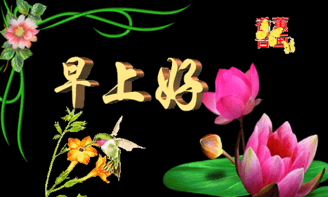 500_300gif 动态图 动图