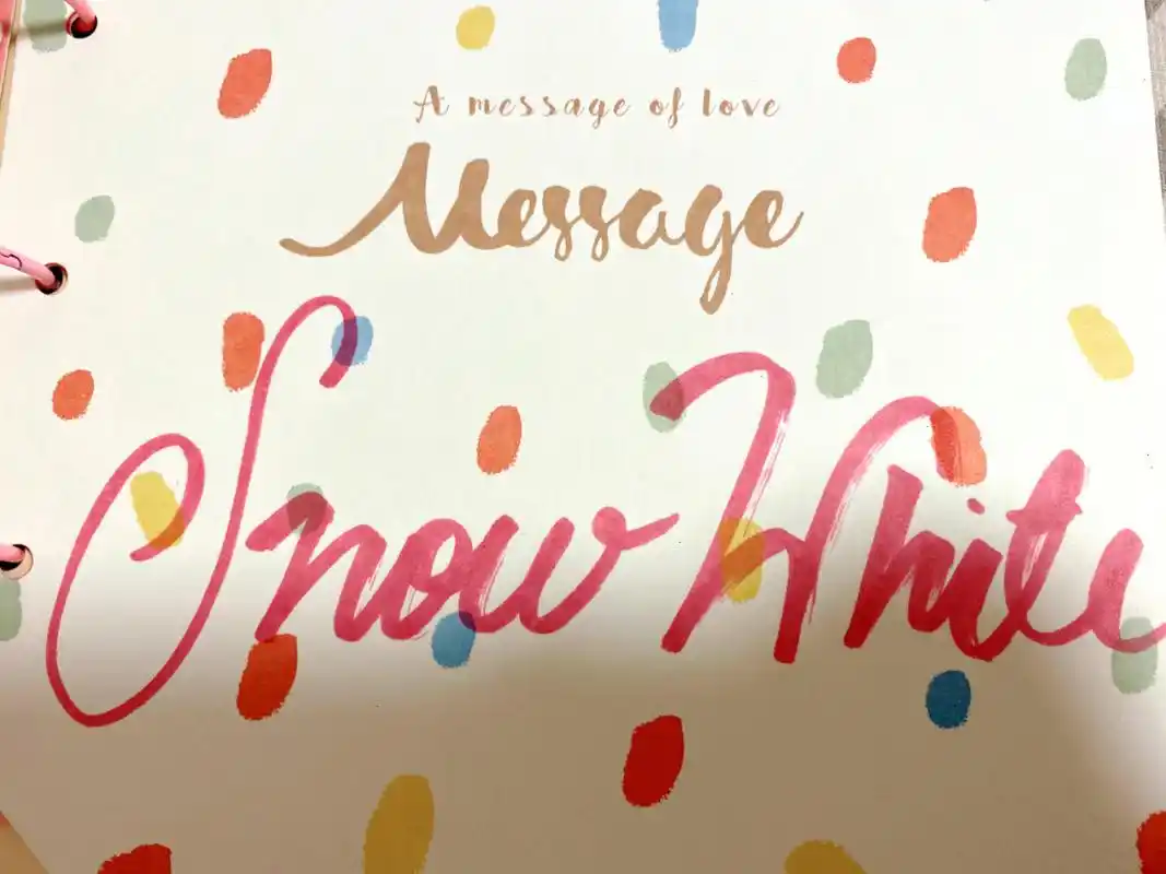 上海迪士尼人物签名