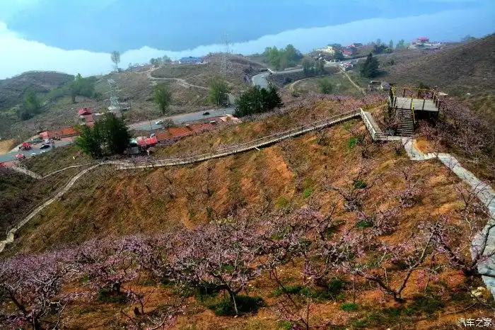 在那桃花盛开的地方五一丹东宽甸河口桃花岛游记