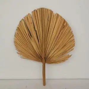 【芭蕉扇道具】芭蕉扇道具品牌,价格 - 阿里巴巴