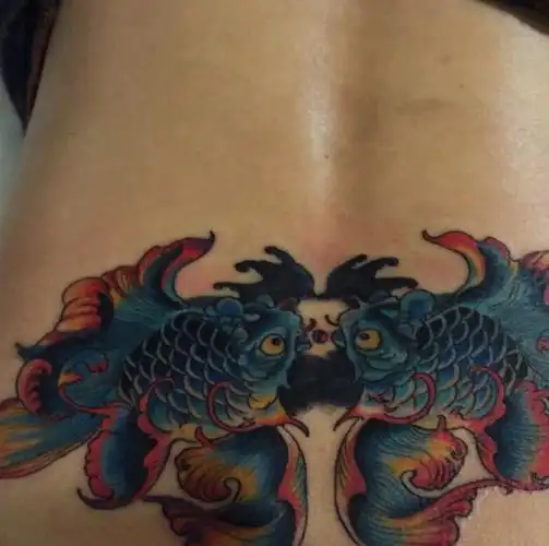 后背一对彩色鲤鱼纹身图案互相对视
