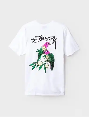 stussy 短袖t恤 新品