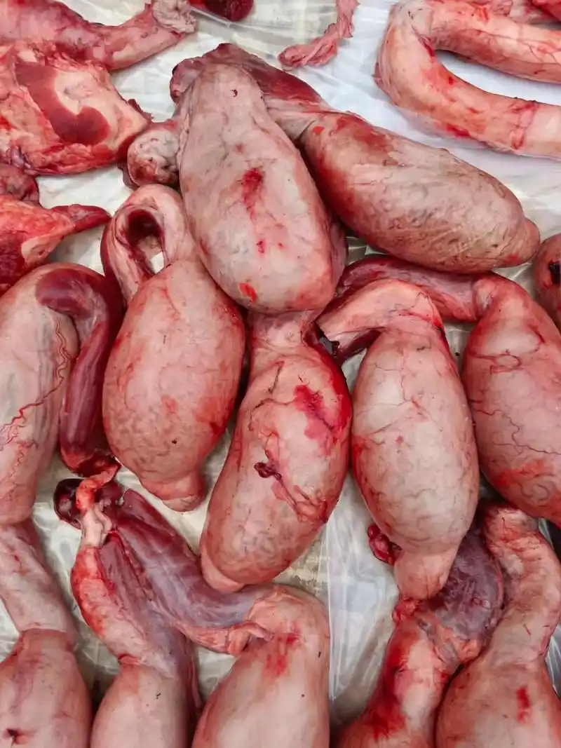 鲜牛宝 鲜牛鞭    有要的联系我 价格优美 1516133 - 抖音