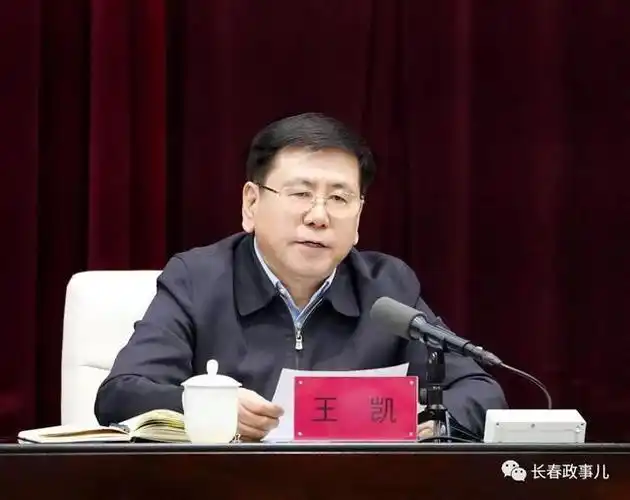 王凯:举全市之力全面推进乡村振兴,争创农业农村现代化先行城市