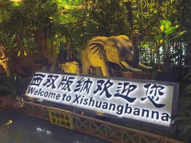 西双版纳嘎洒国际机场,刚走过廊桥 ,就看到"西双版纳欢迎你"几个字!