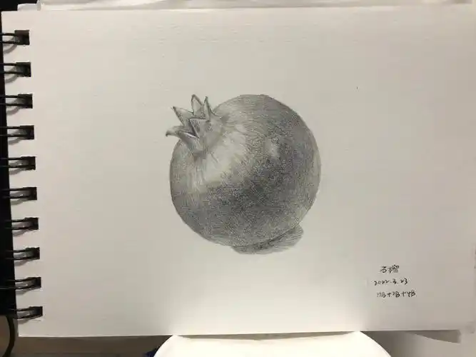 零基础学画画第9画素描石榴