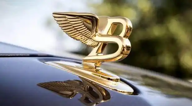 车标b带着一双翅膀就是宾利为啥有的b是金色有的b是黑色