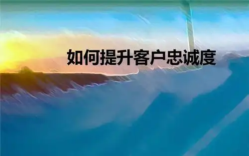 如何提升客户忠诚度概要.ppt 19页