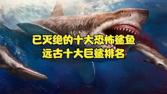 已灭绝的十大恐怖鲨鱼,远古十大巨鲨排名|水生动物|鱼类动物|软骨鱼纲