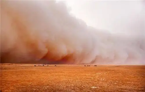 黄土墁墁铺了个地黄沙滚滚盖了个天