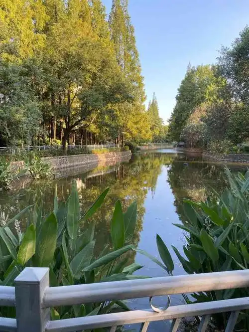 水霞公园-"在这边住了七年了.我来说一下交通吧.如..."-大众点评移动