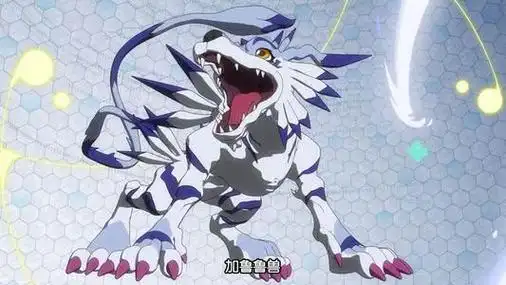 加鲁鲁兽十大进化形态(手握日月摘星辰)(1)