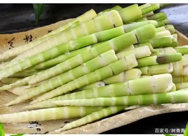 谷雨时节,回老家抽水竹笋去