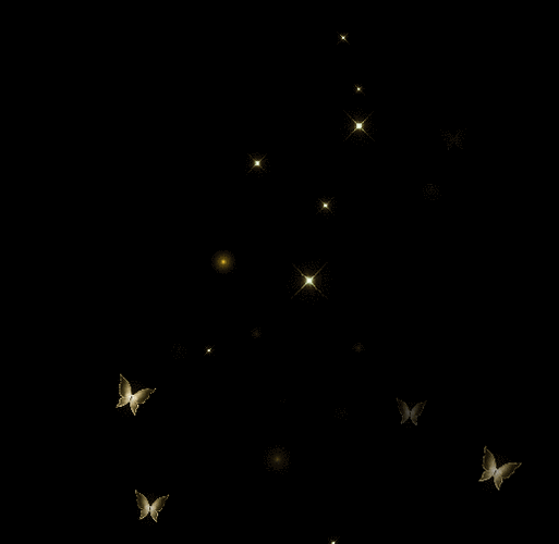 516_503gif 动态图 动图