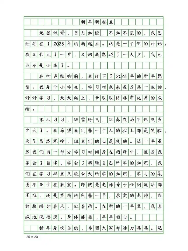 小学生优秀作文《新年新起点》400字