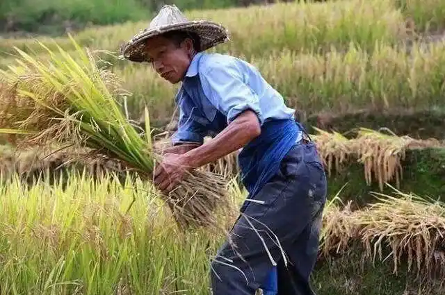 宋村乡东大关中心幼儿园"五一劳动节"美篇
