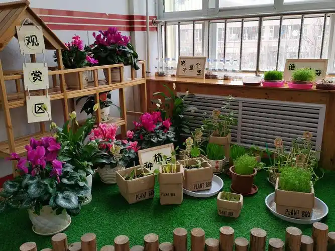 我园通过设置植物角,不仅美化了环境,也使幼儿的生活更加生动婴趣
