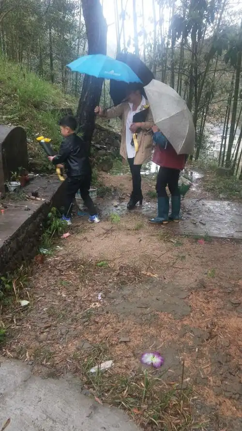 清明给先人扫墓