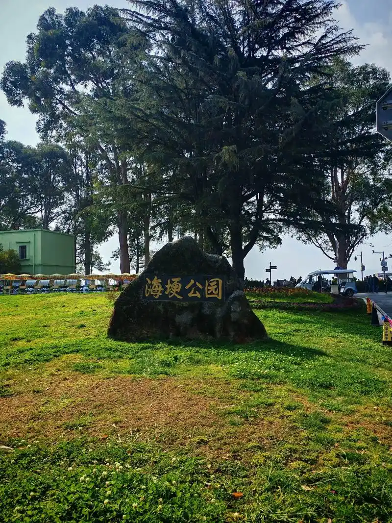 滇池海埂公园:#带你去看海鸥 #海埂大坝喂海鸥 #一起看风景