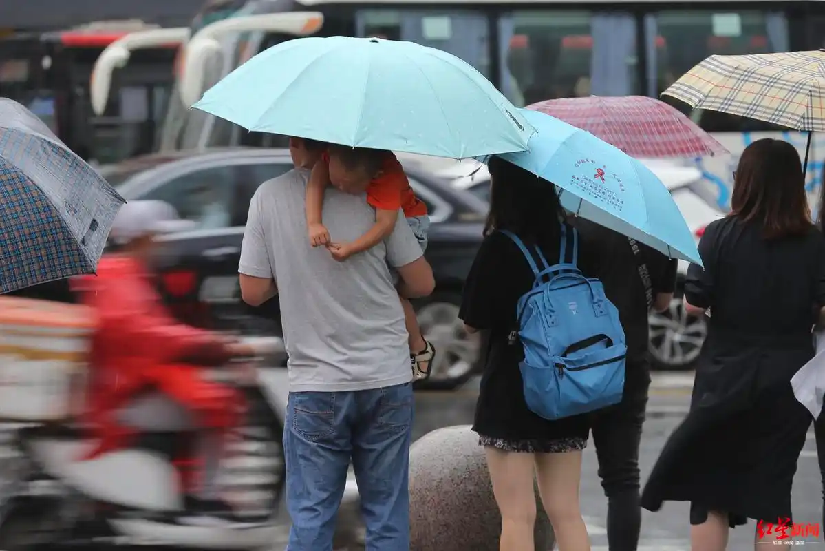 撑伞的人奔跑吧,少年你们打伞,我穿雨衣做一个为你遮风挡雨的人雨中